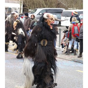 dielsdorf
